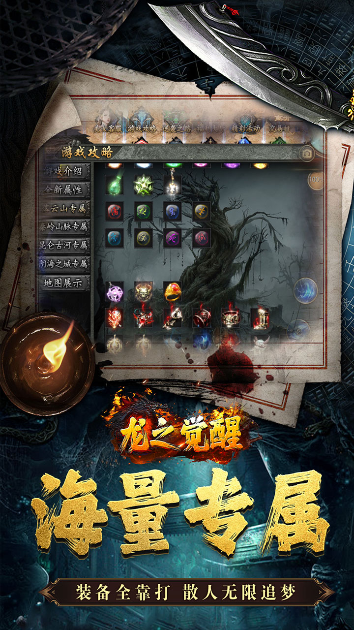 龙之觉醒 简介图（图2）