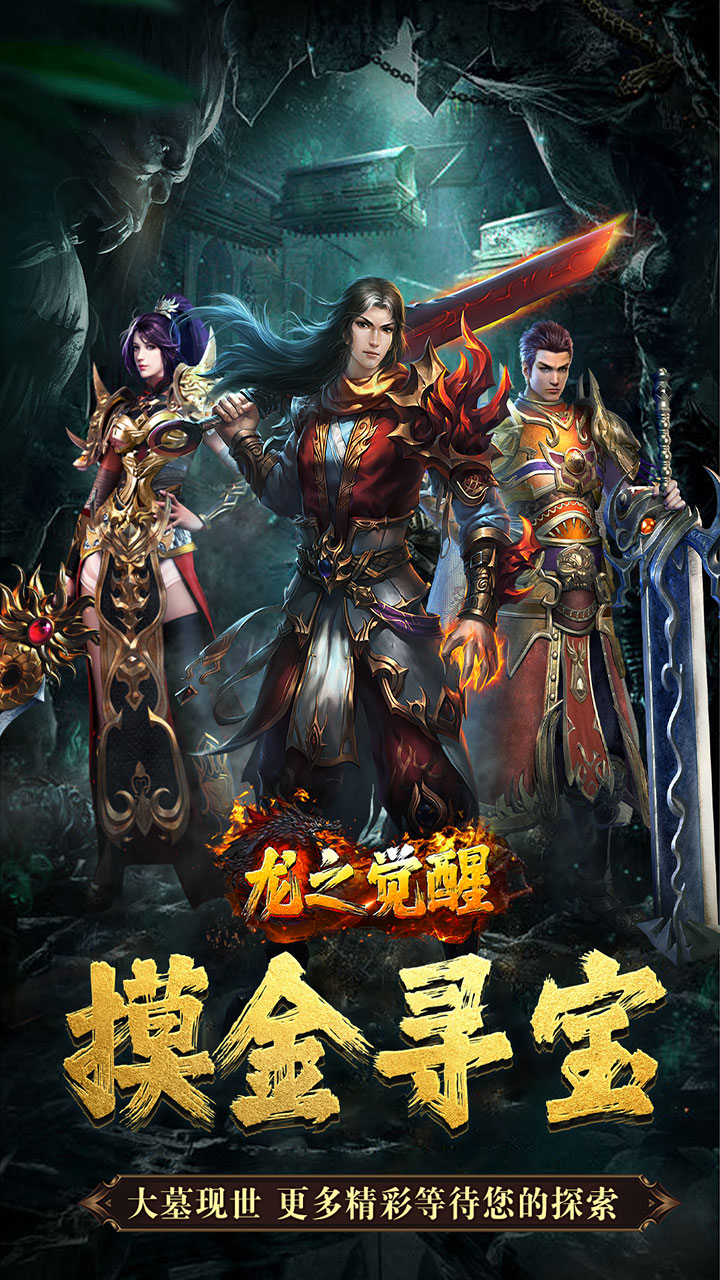 龙之觉醒 简介图（图1）