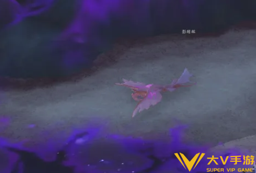 魔兽世界邪斑鱼卵怎样获取_wow邪斑鱼卵获取秘籍