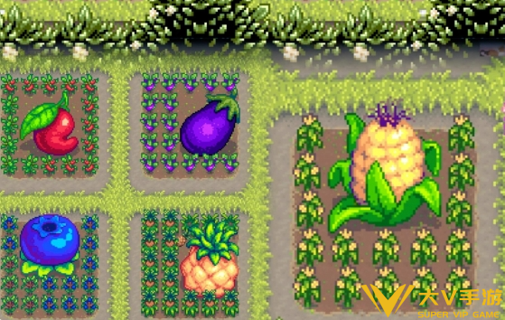 星露谷物语巨大作物种植攻略2