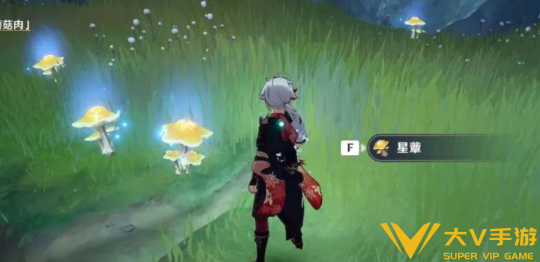 原神星蕈活化攻略1