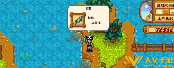 星露谷物语鲟鱼最佳钓点分享3 星露谷物语鲟鱼最佳钓点分享3