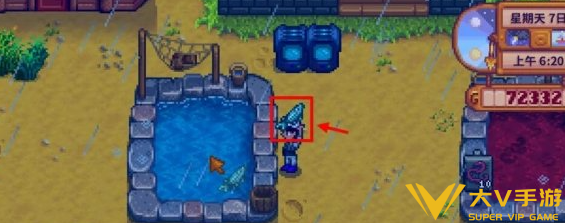 星露谷物语鲟鱼最佳钓点分享4 星露谷物语鲟鱼最佳钓点分享4