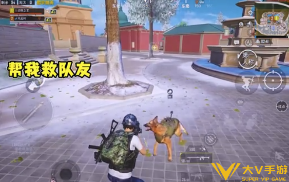 和平精英战斗军犬召唤及功能介绍3 和平精英战斗军犬召唤及功能介绍3