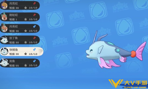 洛克王国世界快鳍鱼获取秘籍1