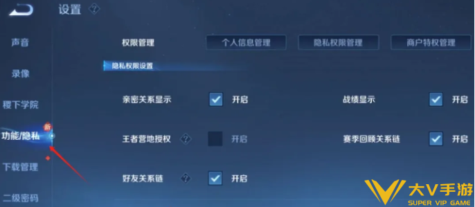 王者荣耀不让别人观战设置攻略2