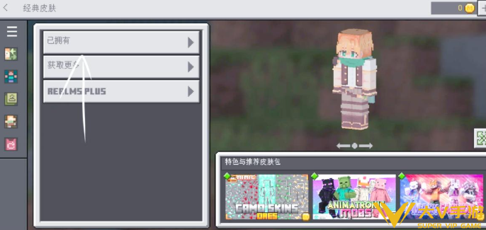 我的世界国际版皮肤导入教学3