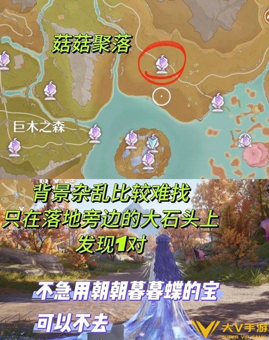 朝朝蝶暮暮蝶收集秘籍4