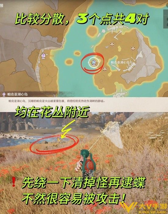 朝朝蝶暮暮蝶收集秘籍3