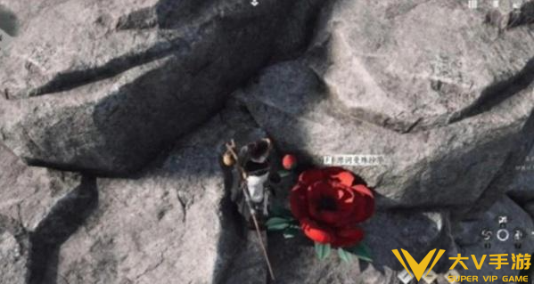 燕云十六声万事知花中愿任务秘籍5