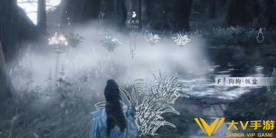 燕云十六声狗尾巴花采集秘籍3