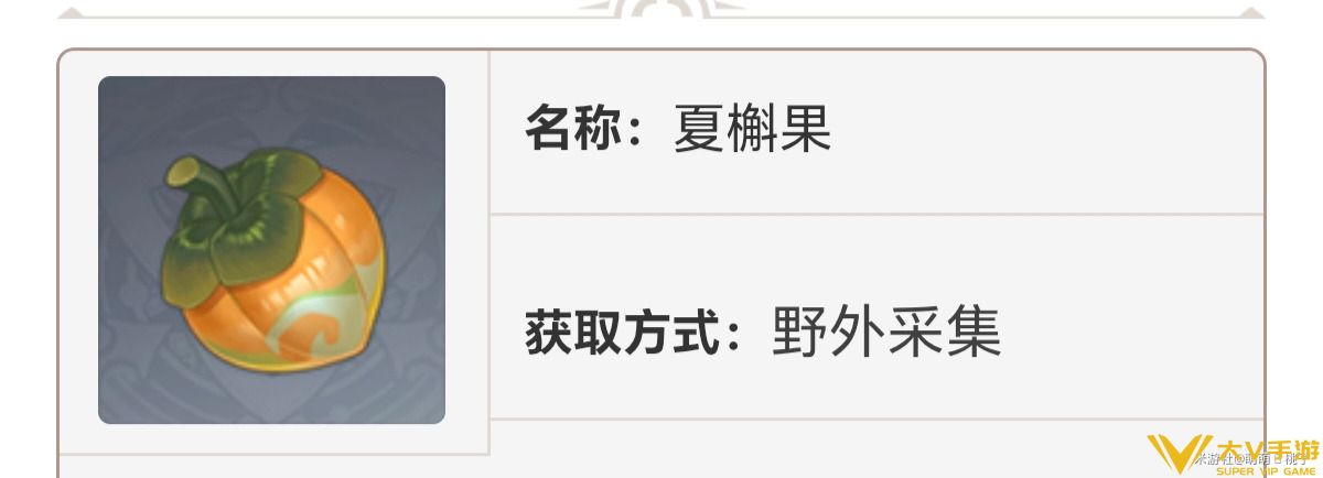 夏槲果采集位置1