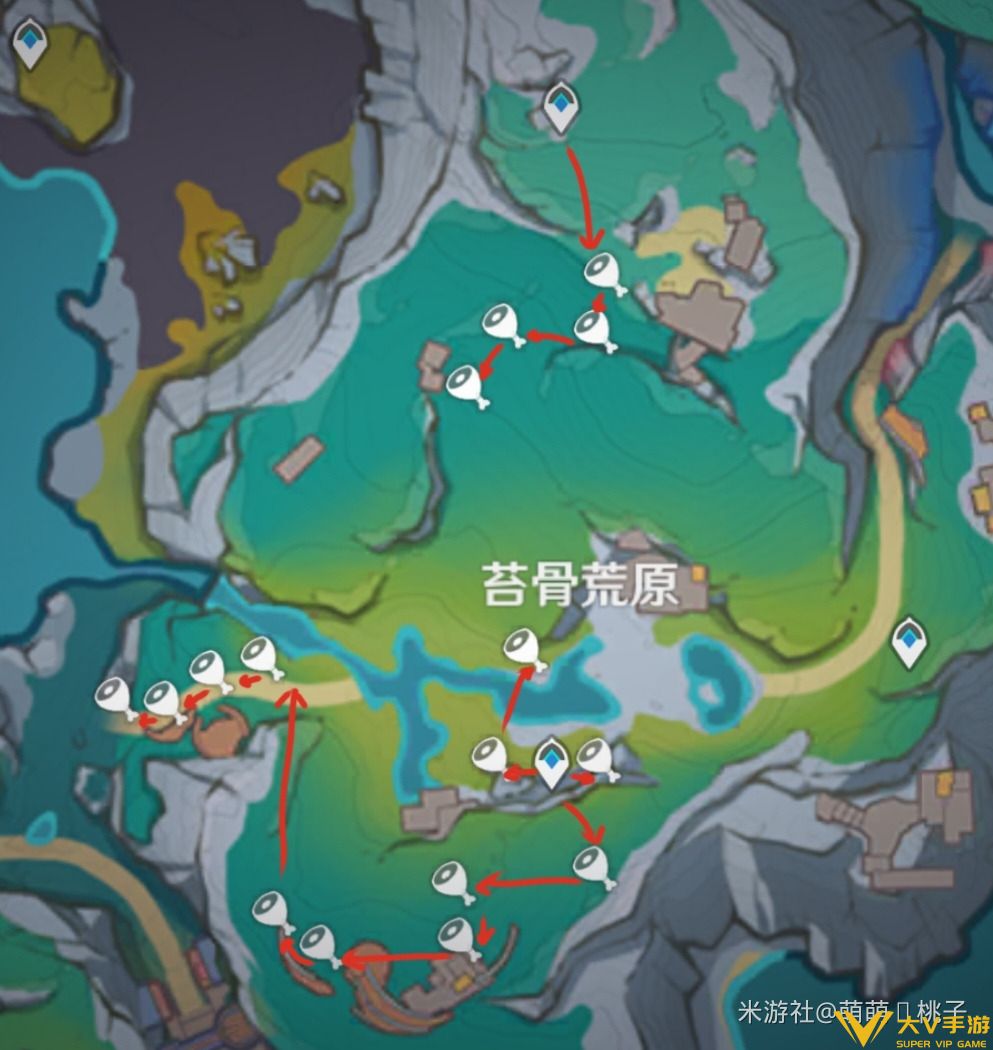 夏槲果采集位置6