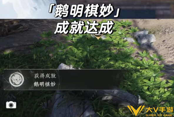 燕云十六声怪盗一只鹅隐藏成就秘籍7 燕云十六声怪盗一只鹅隐藏成就秘籍7