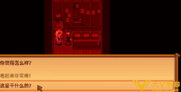 星露谷物语海莉的暗室选择介绍3