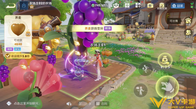 王者荣耀农场玩法秘籍4