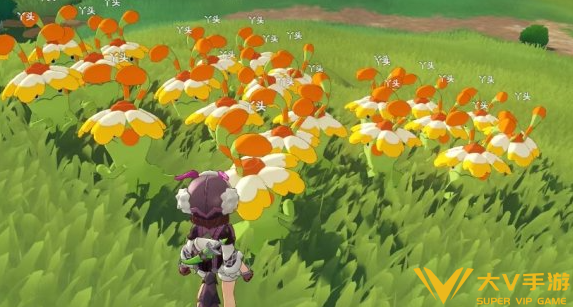 洛克王国世界奇丽花刷钱教学2