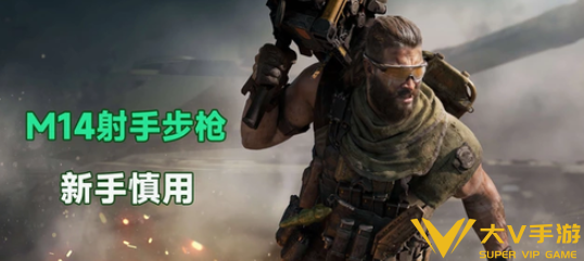 三角洲行动M14改装方案合集3