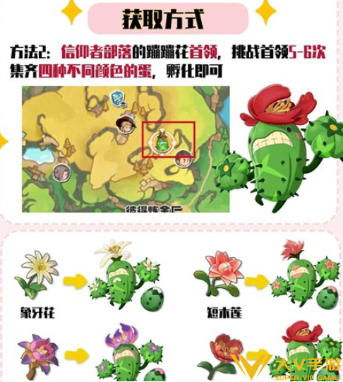 洛克王国世界蹦蹦花刷花秘籍3