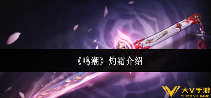 鸣潮灼霜怎样样