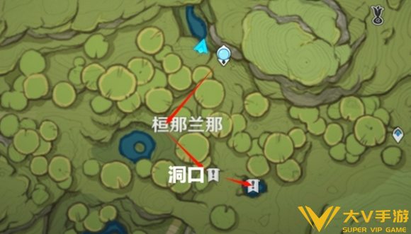 原神树王圣体菇收集路线分享9 原神树王圣体菇收集路线分享9