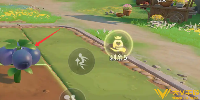 王者荣耀农场快速升级作物介绍2 王者荣耀农场快速升级作物介绍2