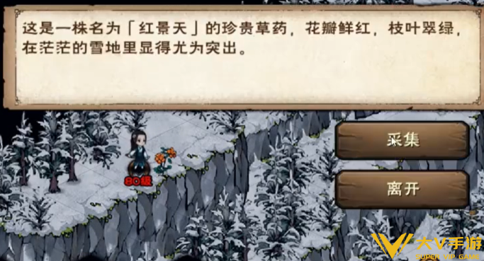 烟雨江湖红景天采集刷新时间2
